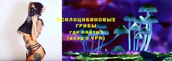 хмурый Бронницы