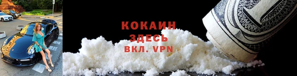 гашик Верея