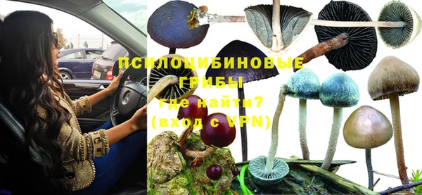 стаф Бугульма