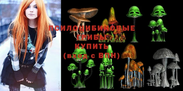 ГАЛЛЮЦИНОГЕННЫЕ ГРИБЫ Верхнеуральск