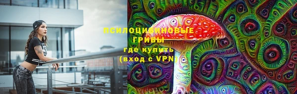 хмурый Михайлов