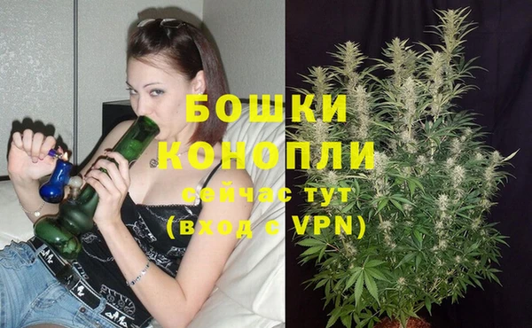 стаф Бугульма
