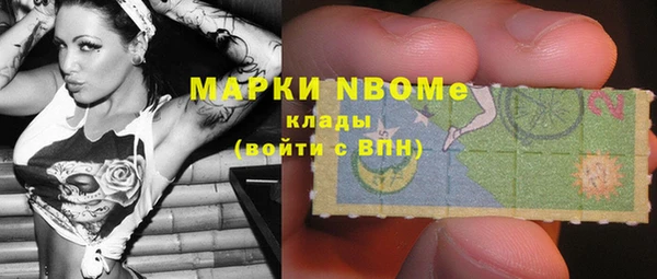 гашик Верея