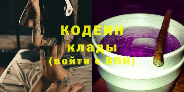 гашик Верея